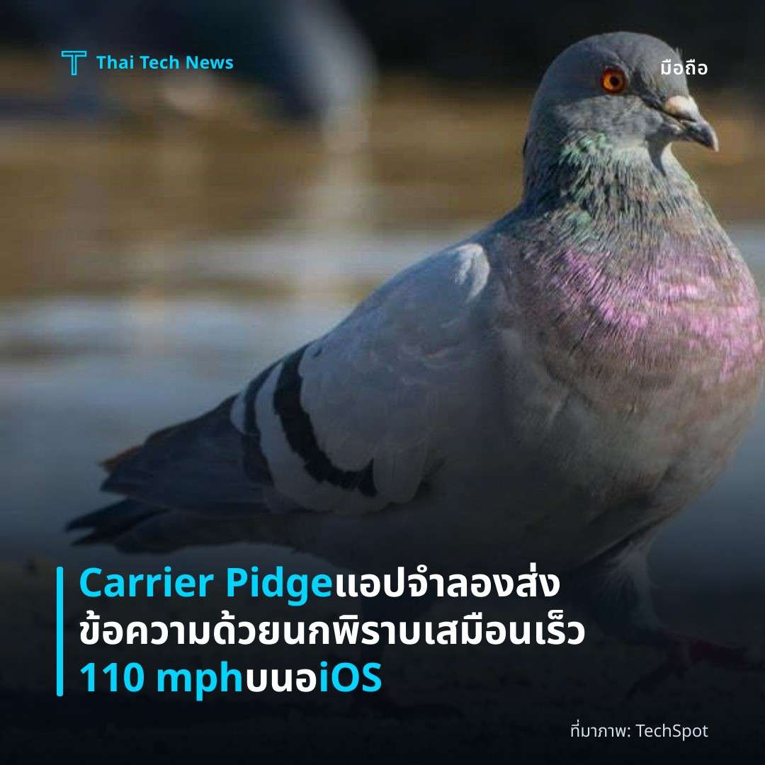 Carrier Pidge แอปจำลองส่งข้อความด้วยนกพิราบเสมือนเร็ว 110 mph บนอ iOS