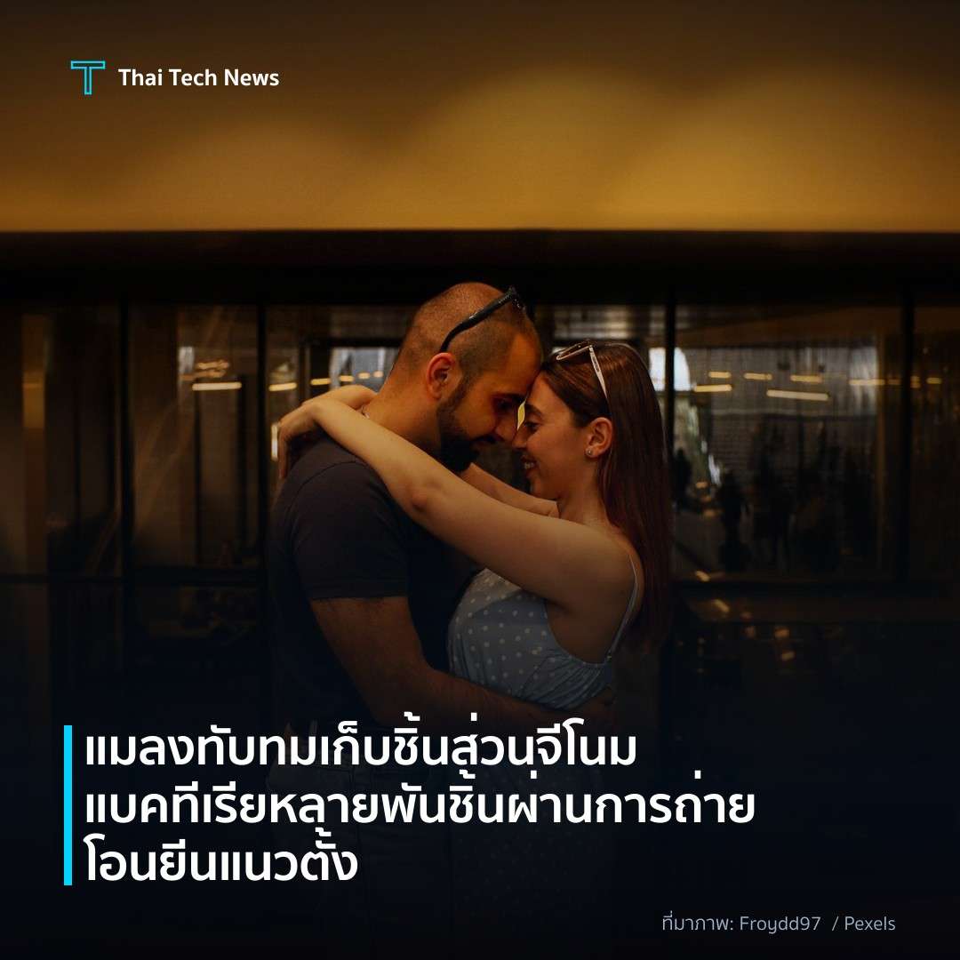 แมลงทับทมเก็บชิ้นส่วนจีโนมแบคทีเรียหลายพันชิ้นผ่านการถ่ายโอนยีนแนวตั้ง