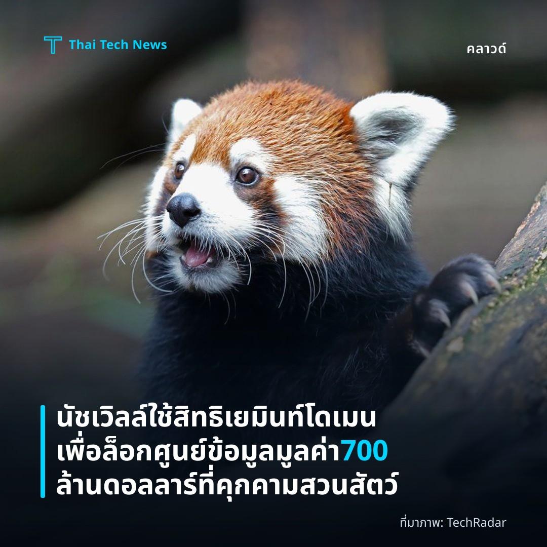 นัชเวิลล์ใช้สิทธิเยมินท์โดเมนเพื่อล็อกศูนย์ข้อมูลมูลค่า 700 ล้านดอลลาร์ที่คุกคามสวนสัตว์