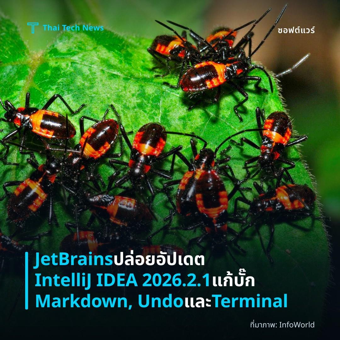 JetBrains ปล่อยอัปเดต IntelliJ IDEA 2026.2.1 แก้บั๊ก Markdown, Undo และ Terminal