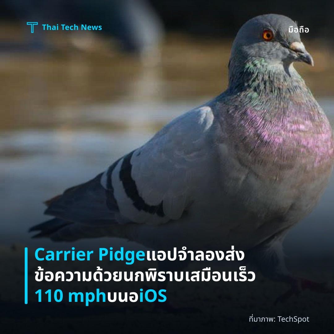 Carrier Pidge แอปจำลองส่งข้อความด้วยนกพิราบเสมือนเร็ว 110 mph บนอ iOS