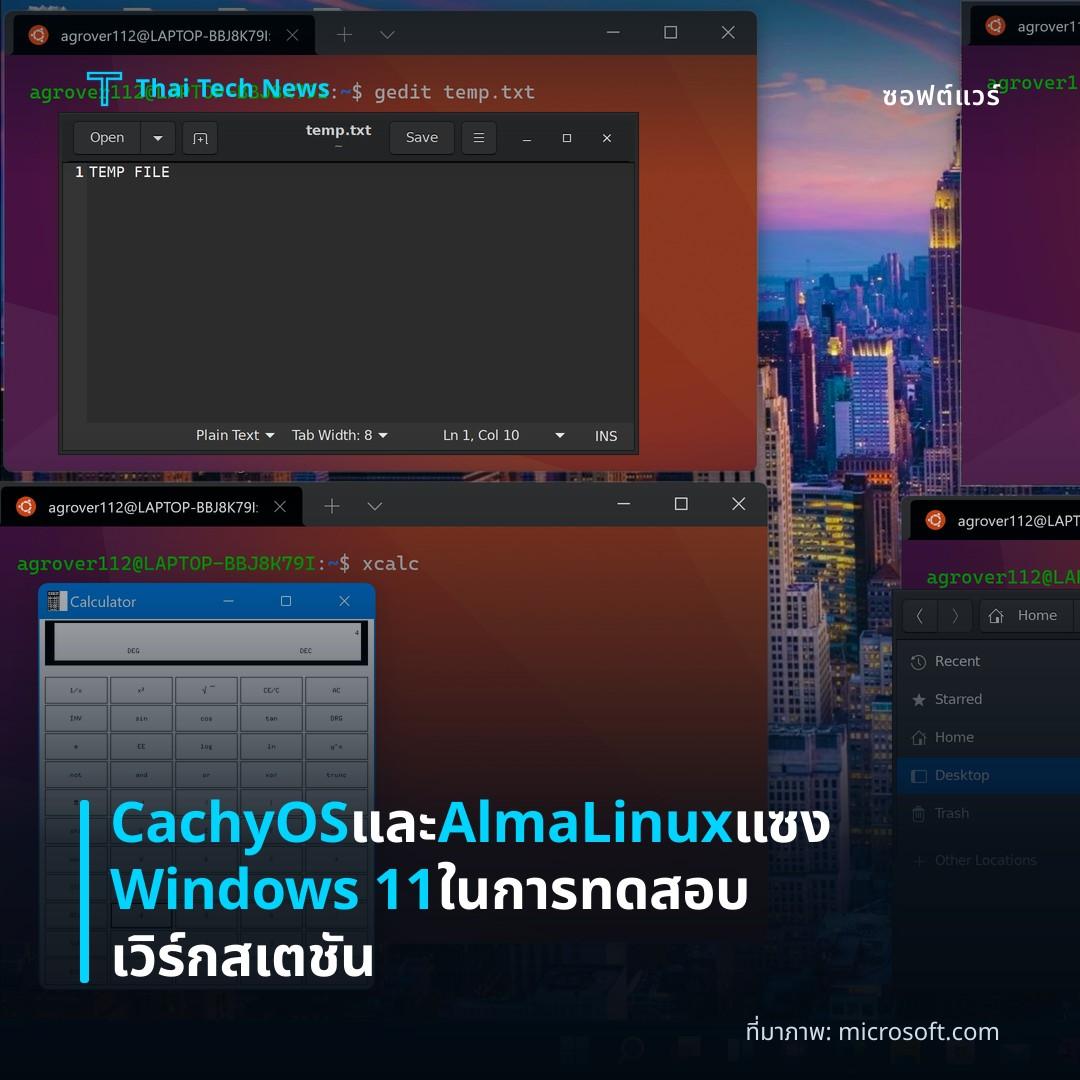CachyOS และ AlmaLinux แซง Windows 11 ในการทดสอบเวิร์กสเตชัน