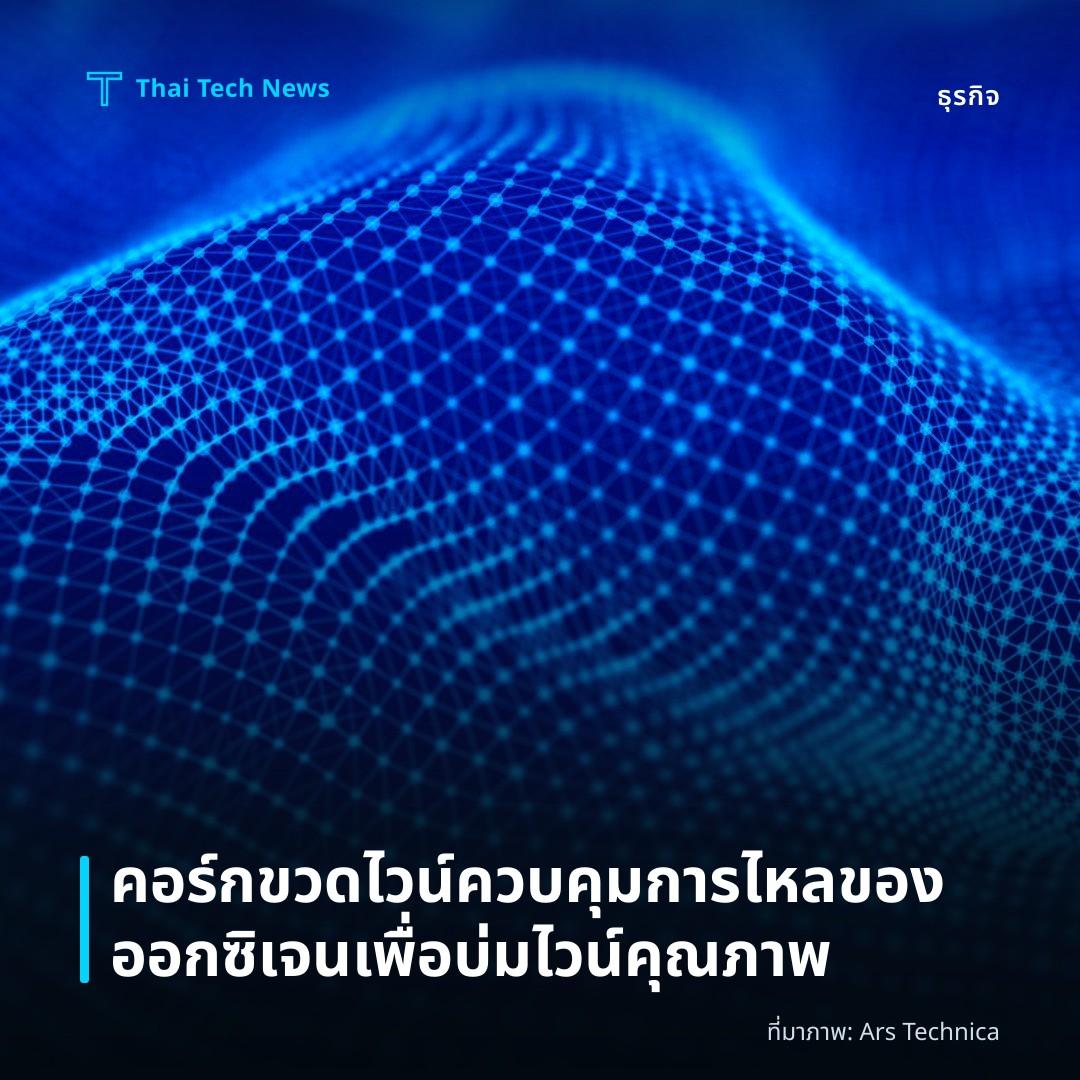 คอร์กขวดไวน์ควบคุมการไหลของออกซิเจนเพื่อบ่มไวน์คุณภาพ