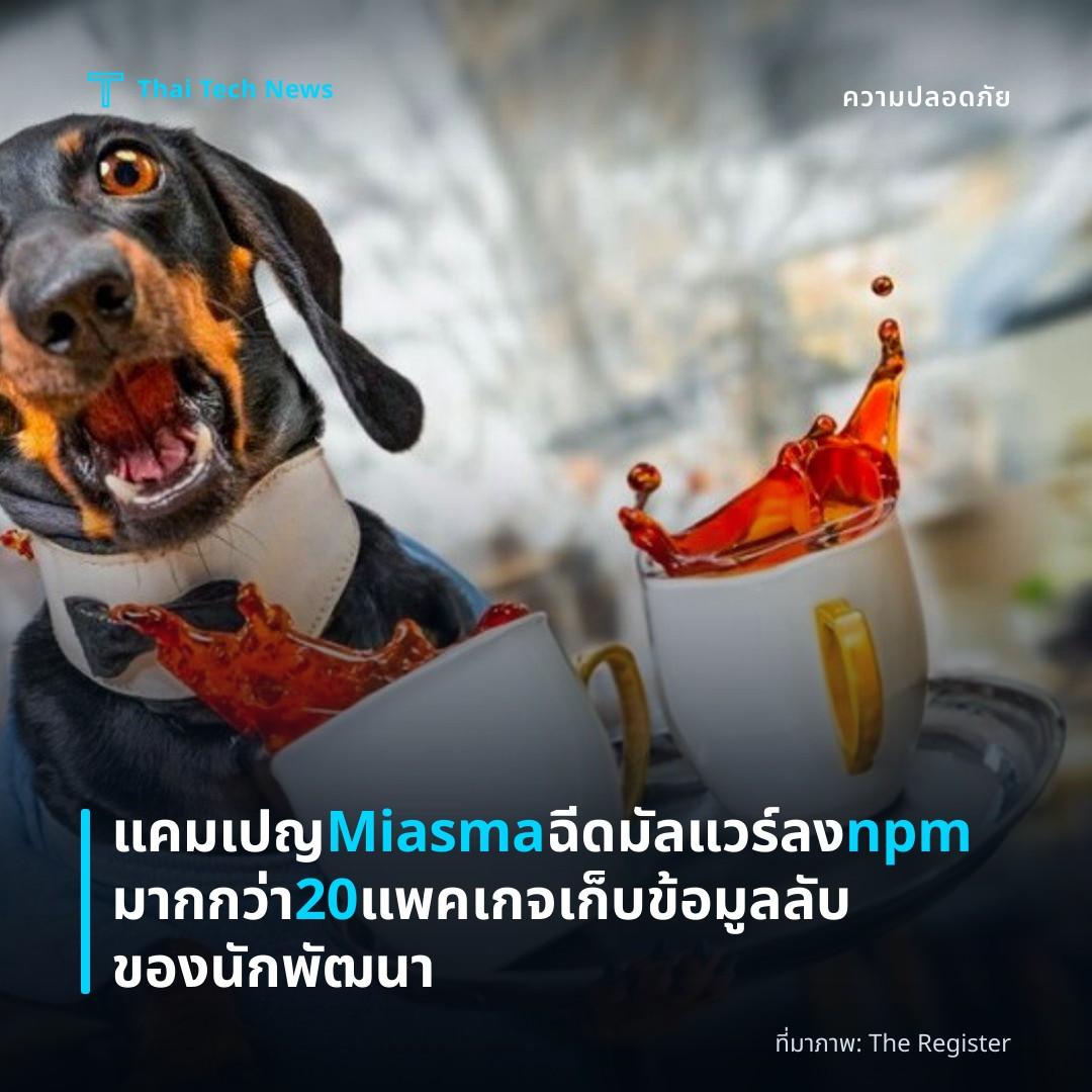 แคมเปญ Miasma ฉีดมัลแวร์ลง npm มากกว่า 20 แพคเกจ เก็บข้อมูลลับของนักพัฒนา