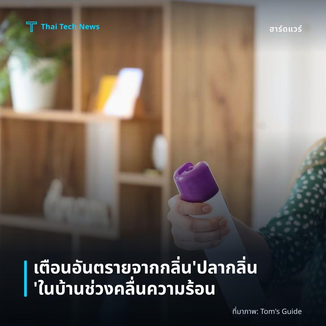 เตือนอันตรายจากกลิ่น ‘ปลากลิ่น’ ในบ้านช่วงคลื่นความร้อน