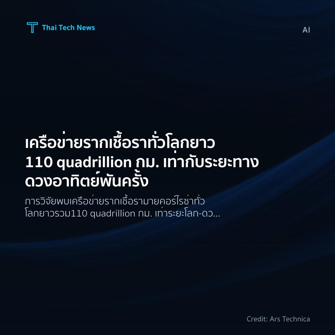 เครือข่ายรากเชื้อราทั่วโลกยาว 110 quadrillion กม. เท่ากับ…