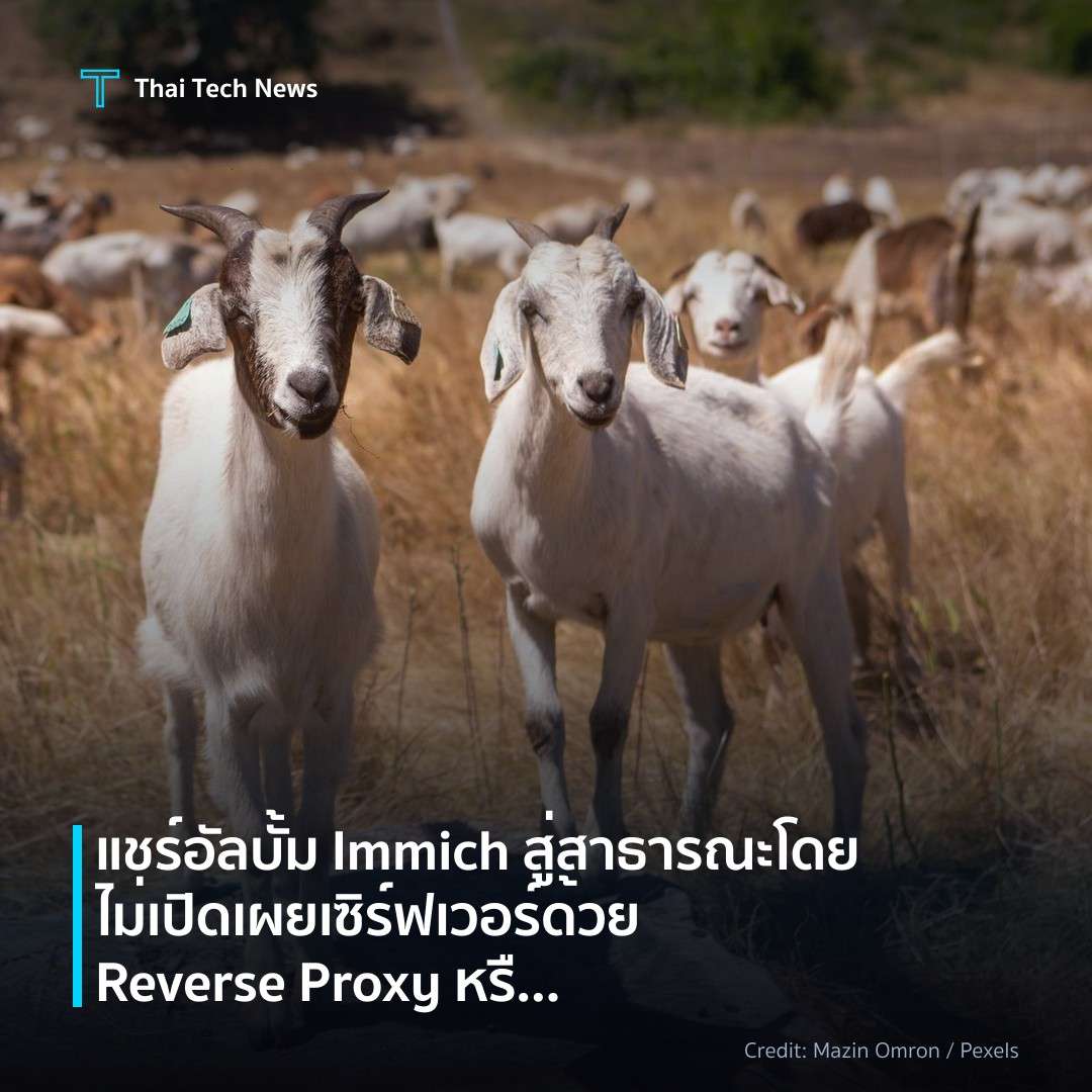 แชร์อัลบั้ม Immich สู่สาธารณะโดยไม่เปิดเผยเซิร์ฟเวอร์ ด้ว…