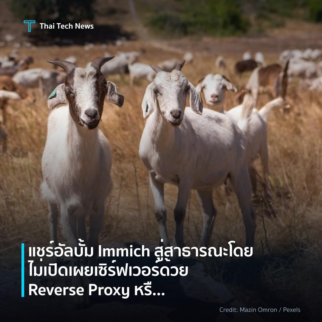 แชร์อัลบั้ม Immich สู่สาธารณะโดยไม่เปิดเผยเซิร์ฟเวอร์ ด้ว…