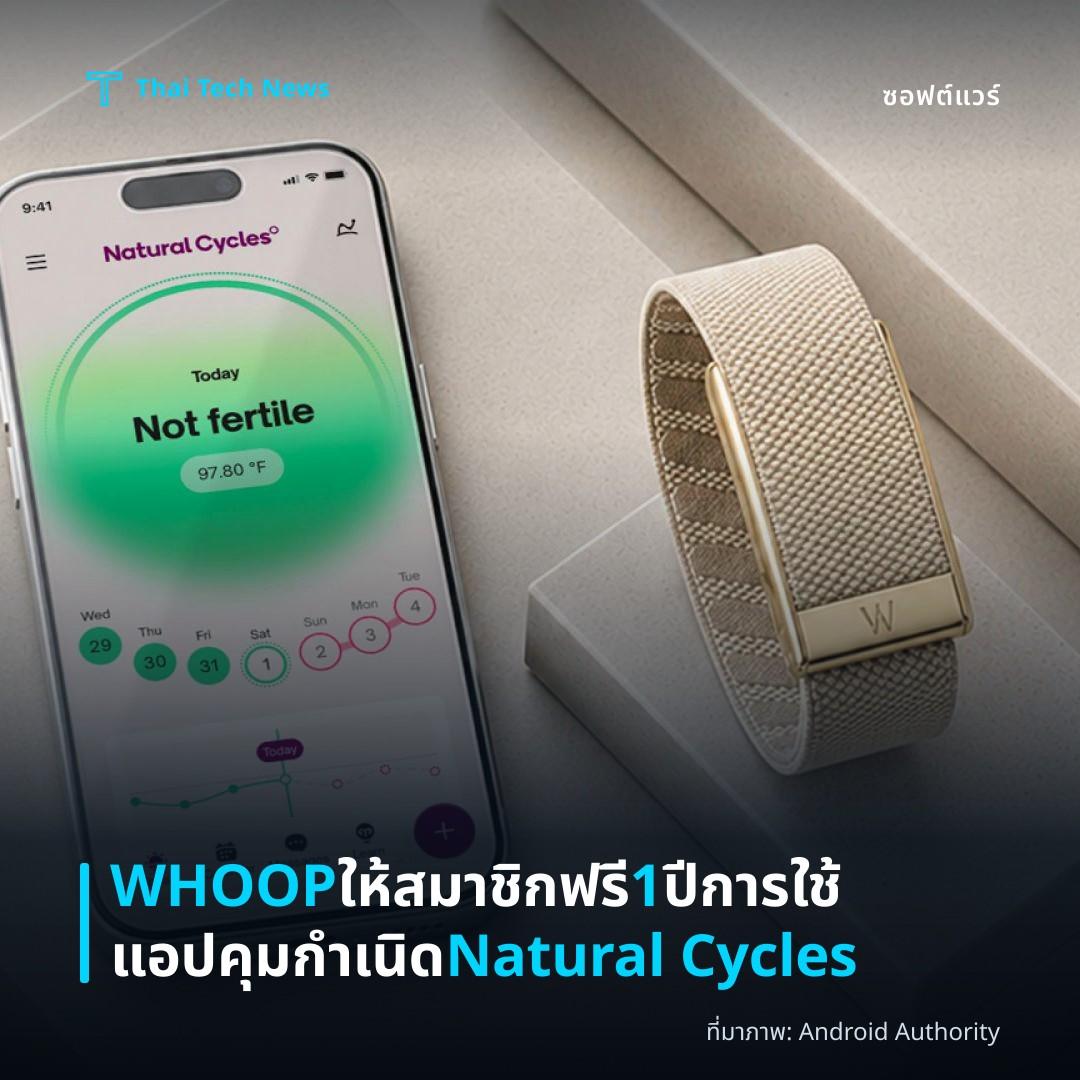 WHOOP ให้สมาชิกฟรี 1 ปีการใช้แอปคุมกำเนิด Natural Cycles