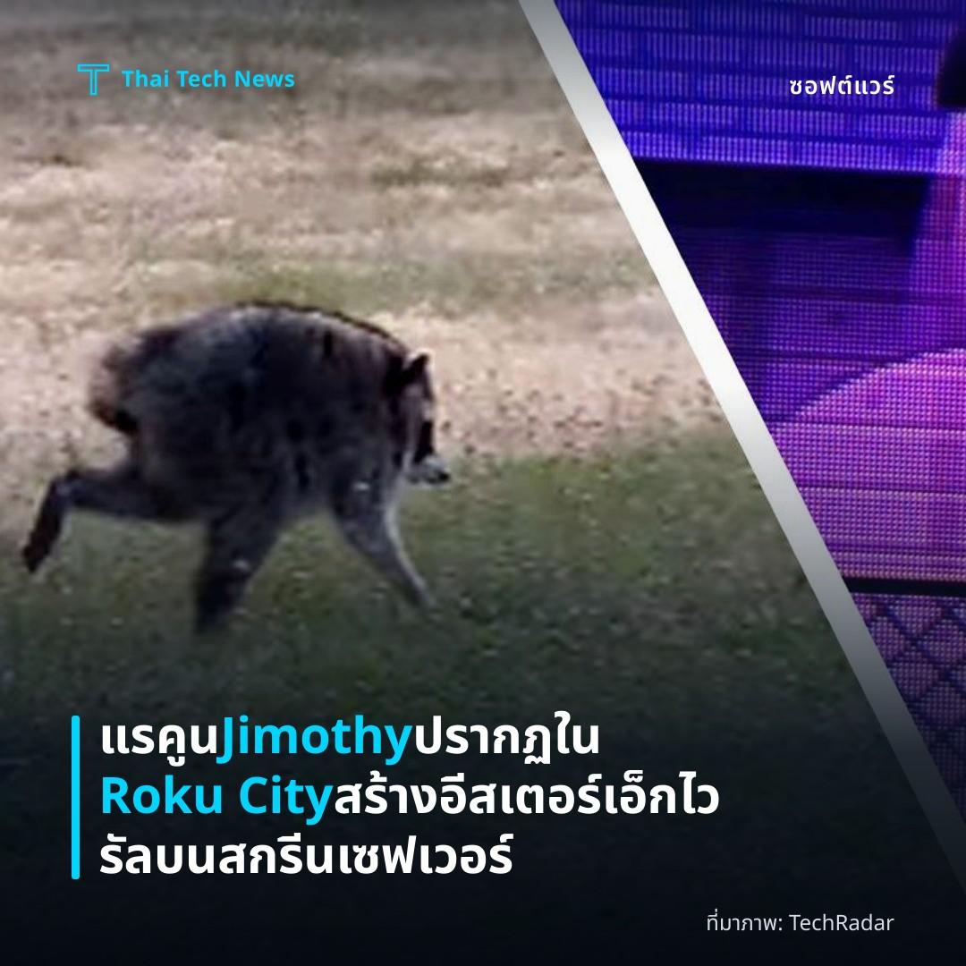 แรคูน Jimothy ปรากฏใน Roku City สร้างอีสเตอร์เอ็กไวรัลบนสกรีนเซฟเวอร์