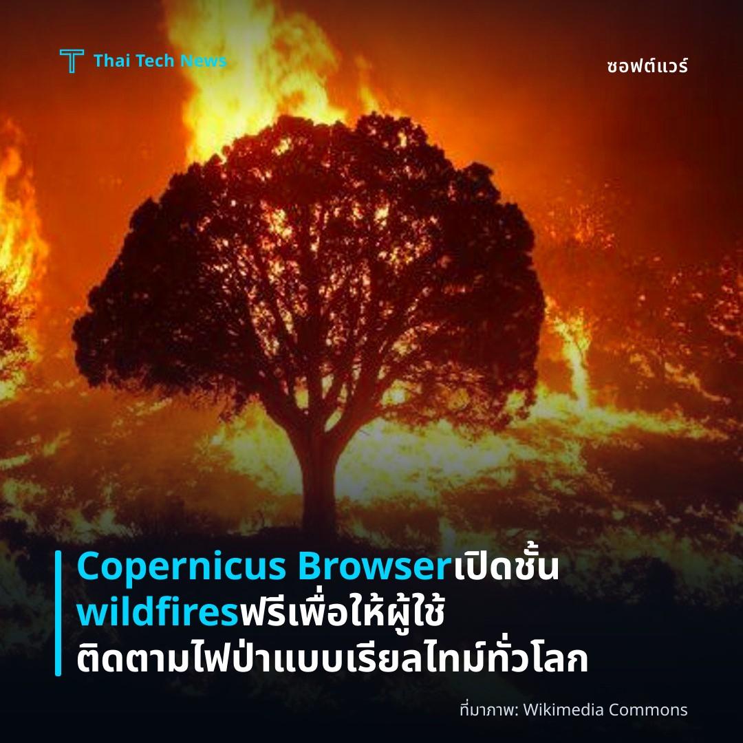 Copernicus Browser เปิดชั้น wildfires ฟรี เพื่อให้ผู้ใช้ติดตามไฟป่าแบบเรียลไทม์ทั่วโลก