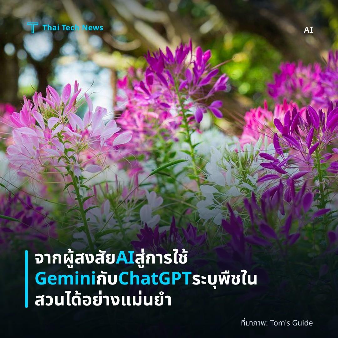 จากผู้สงสัย AI สู่การใช้ Gemini กับ ChatGPT ระบุพืชในสวนได้อย่างแม่นยำ