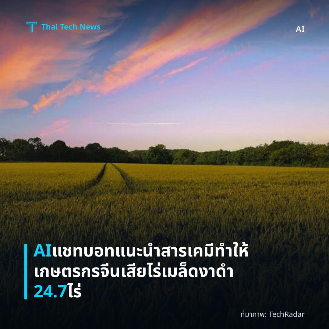 AI แชทบอทแนะนำสารเคมีทำให้เกษตรกรจีนเสียไร่เมล็ดงาดำ 24.7 ไร่
