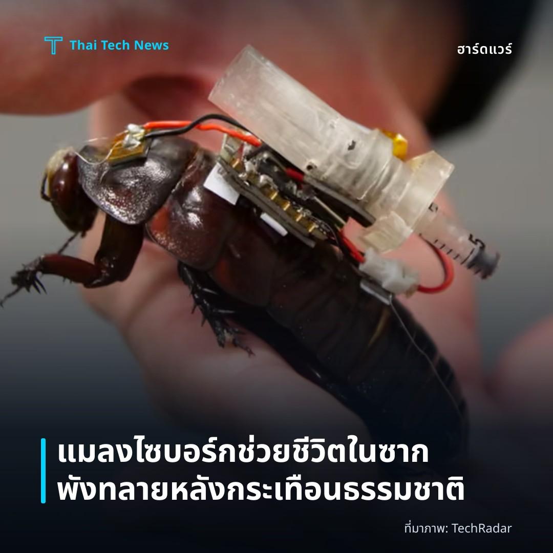 แมลงไซบอร์กช่วยชีวิตในซากพังทลายหลังกระเทือนธรรมชาติ