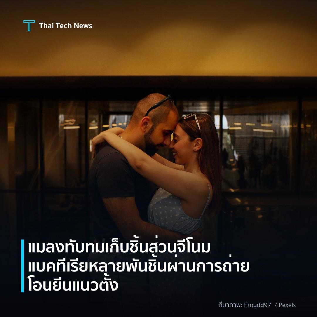 แมลงทับทมเก็บชิ้นส่วนจีโนมแบคทีเรียหลายพันชิ้นผ่านการถ่ายโอนยีนแนวตั้ง