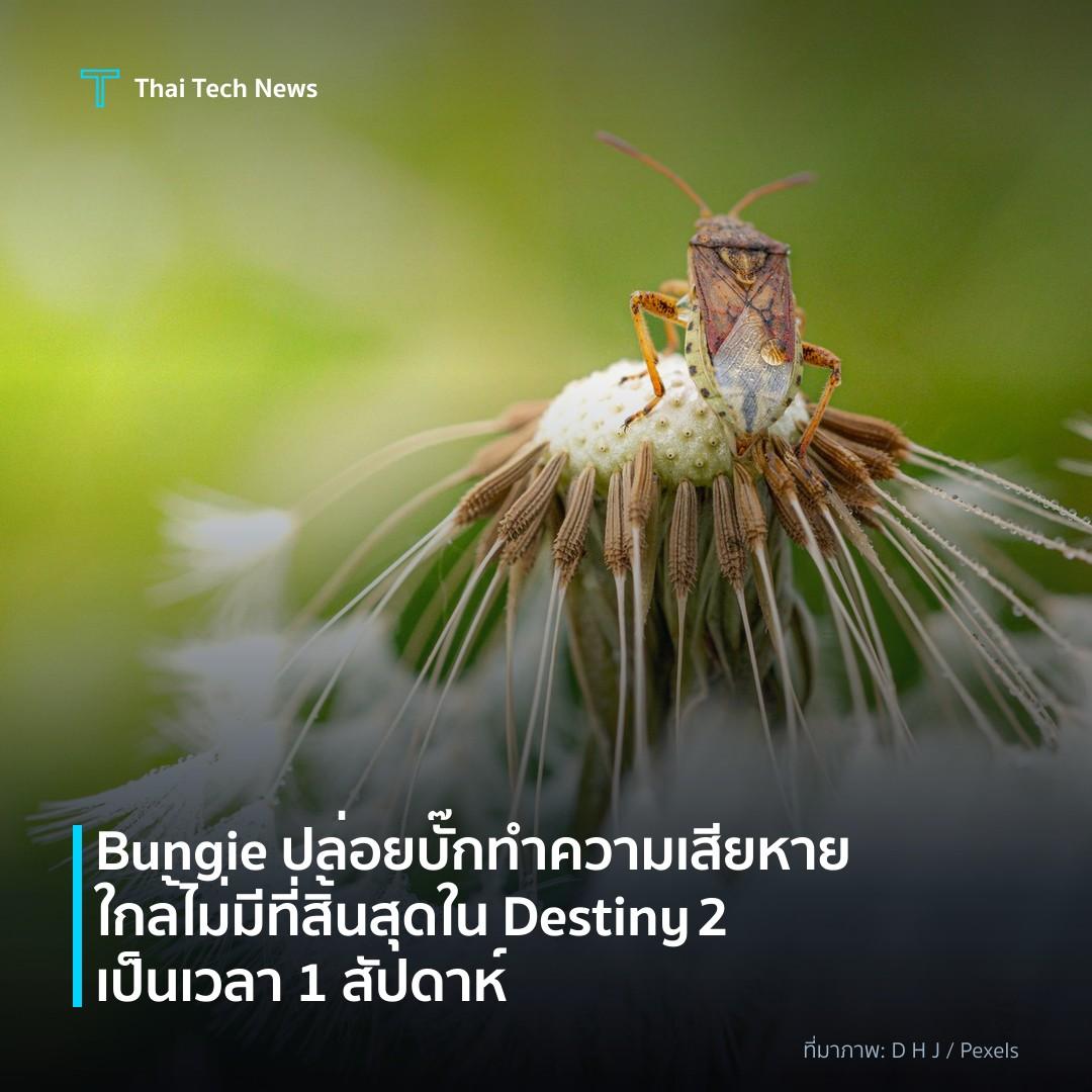 Bungie ปล่อยบั๊กทำความเสียหายใกล้ไม่มีที่สิ้นสุดใน Destiny 2 เป็นเวลา 1 สัปดาห์