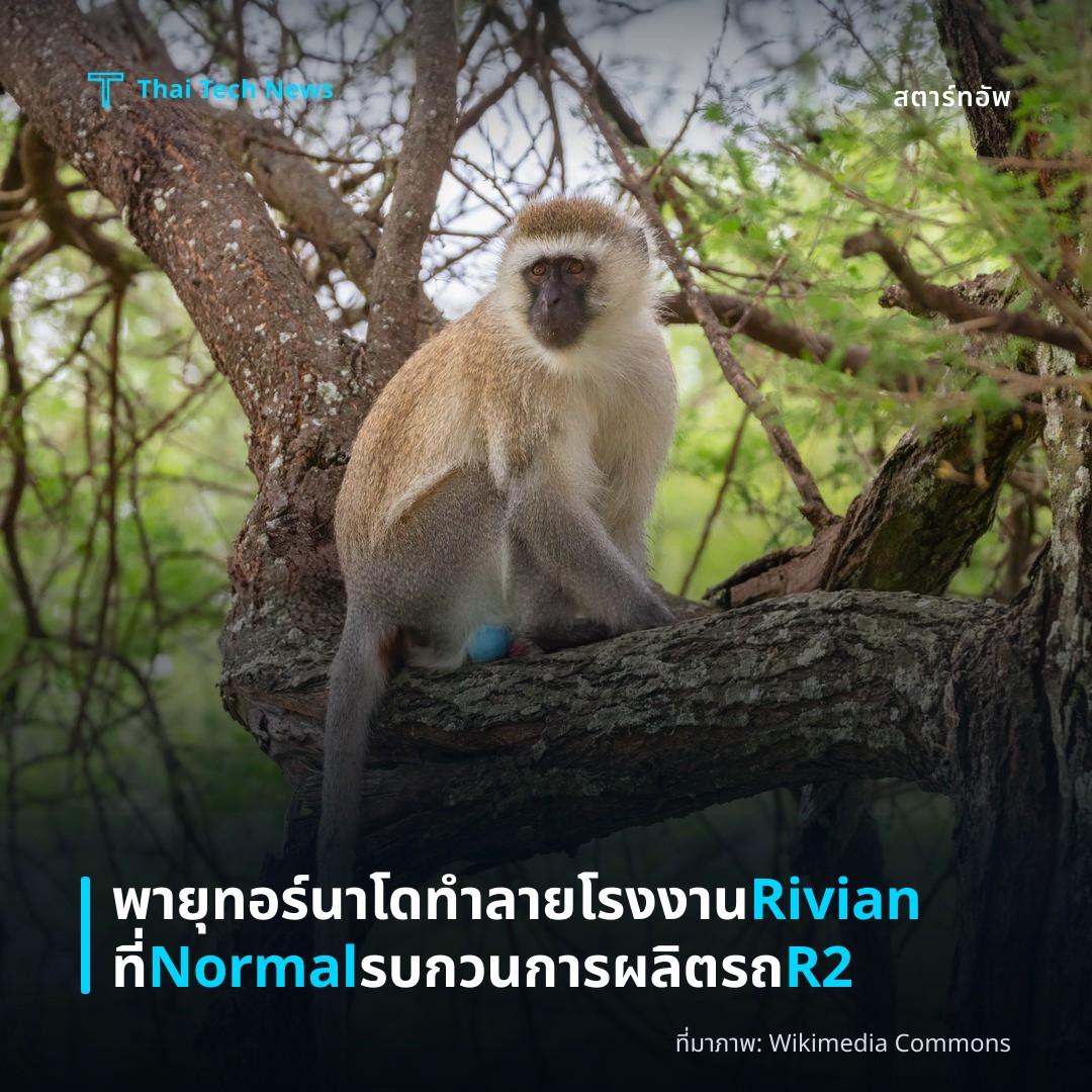 พายุทอร์นาโดทำลายโรงงาน Rivian ที่ Normal รบกวนการผลิตรถ R2