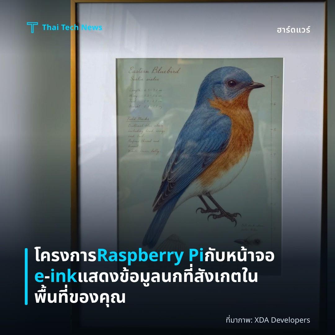 โครงการ Raspberry Pi กับหน้าจอ e‑ink แสดงข้อมูลนกที่สังเกตในพื้นที่ของคุณ